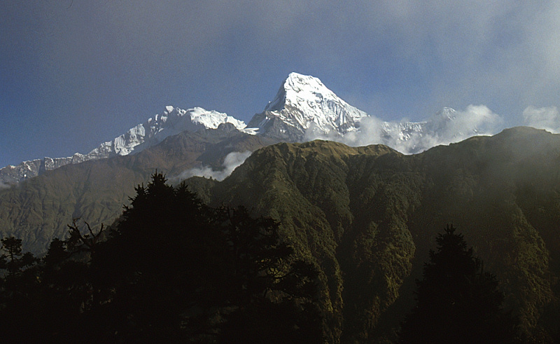 413_Annapurna (8091 m) in de vroege ochtend, vanaf Poon Hill.jpg